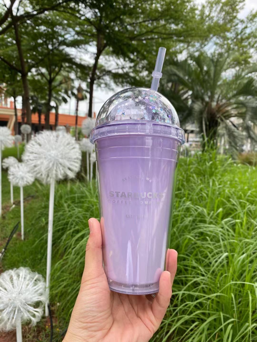 Starbucks 2020 China Gradient Macaron Purple 16oz Straw Water Cup Dome Tumbler Star