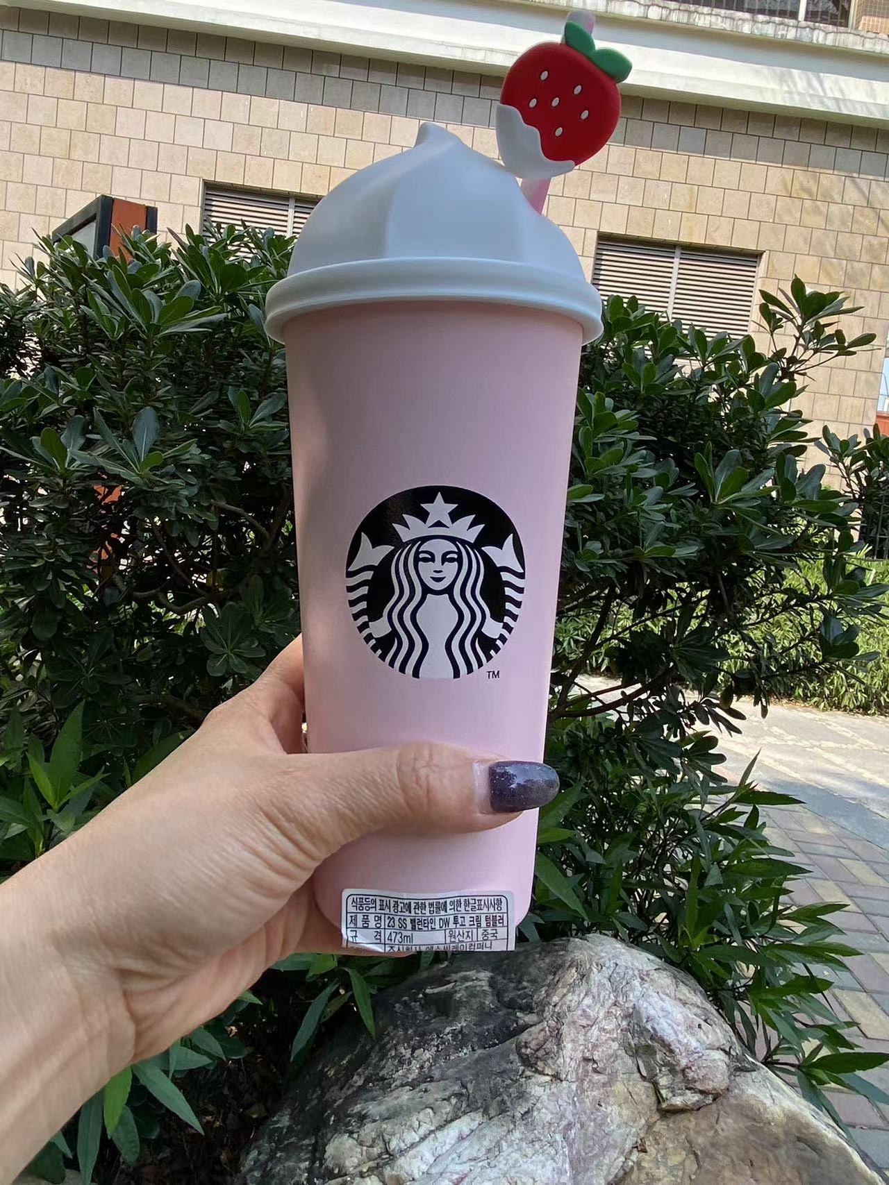 Starbucks Korea Valentines Jungle Pink Stainless Steel Tumbler – MERMAIDS  AND MOCHA
