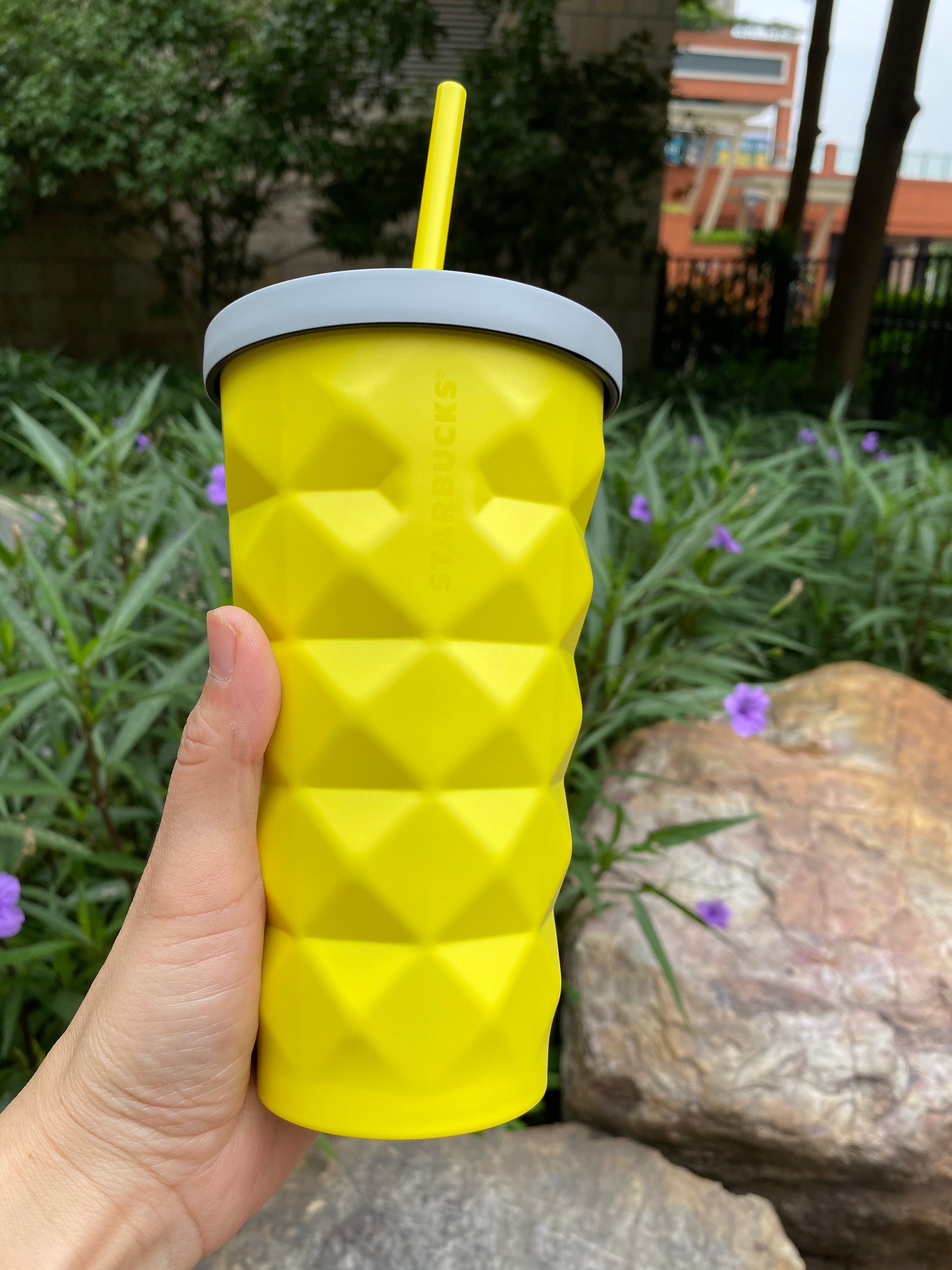 Starbucks 2020 China Summer Pink Pineapple 16oz Stainless Steel Straw