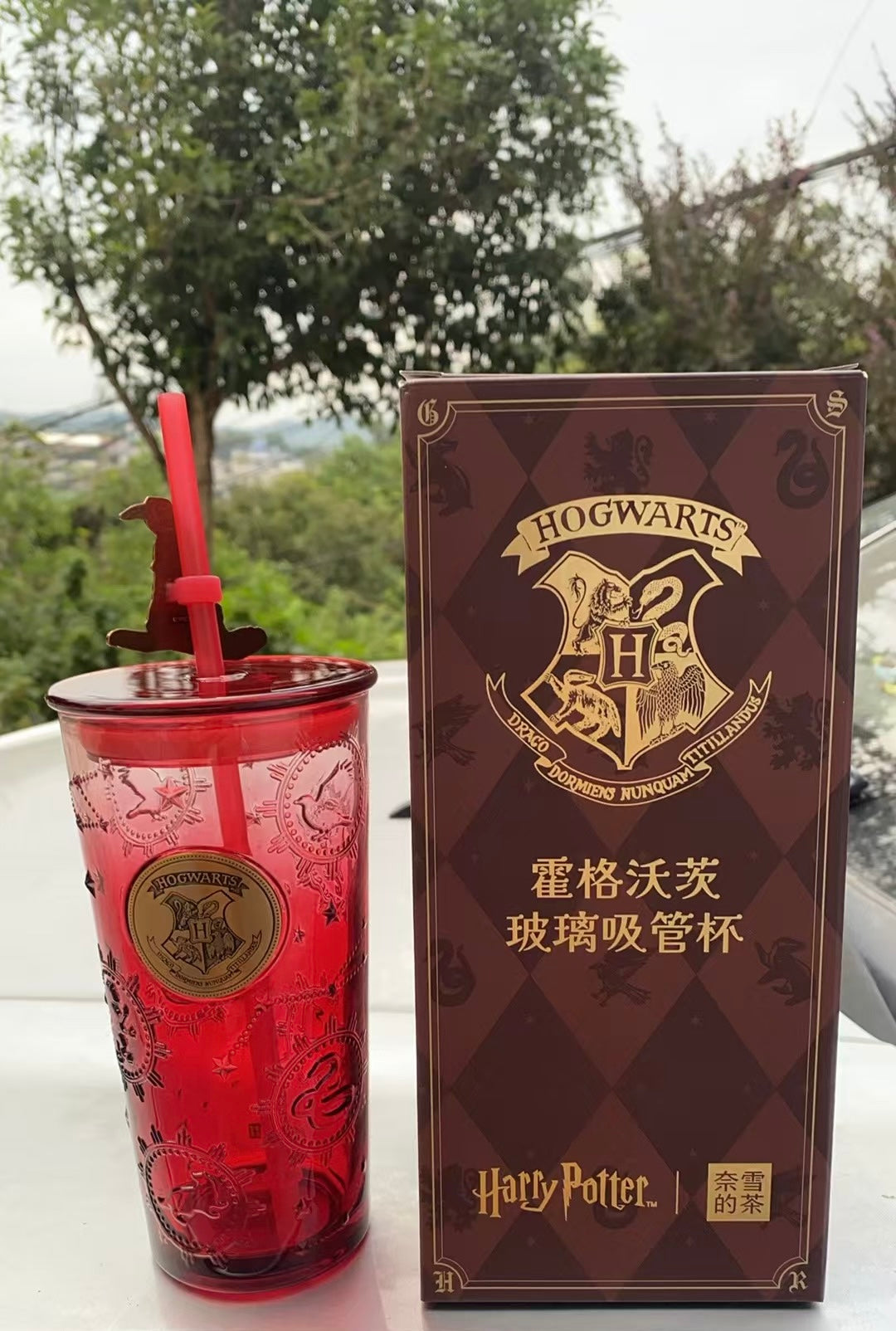 HARRY POTTER Hogwartz Glass Red Cup Tumbler