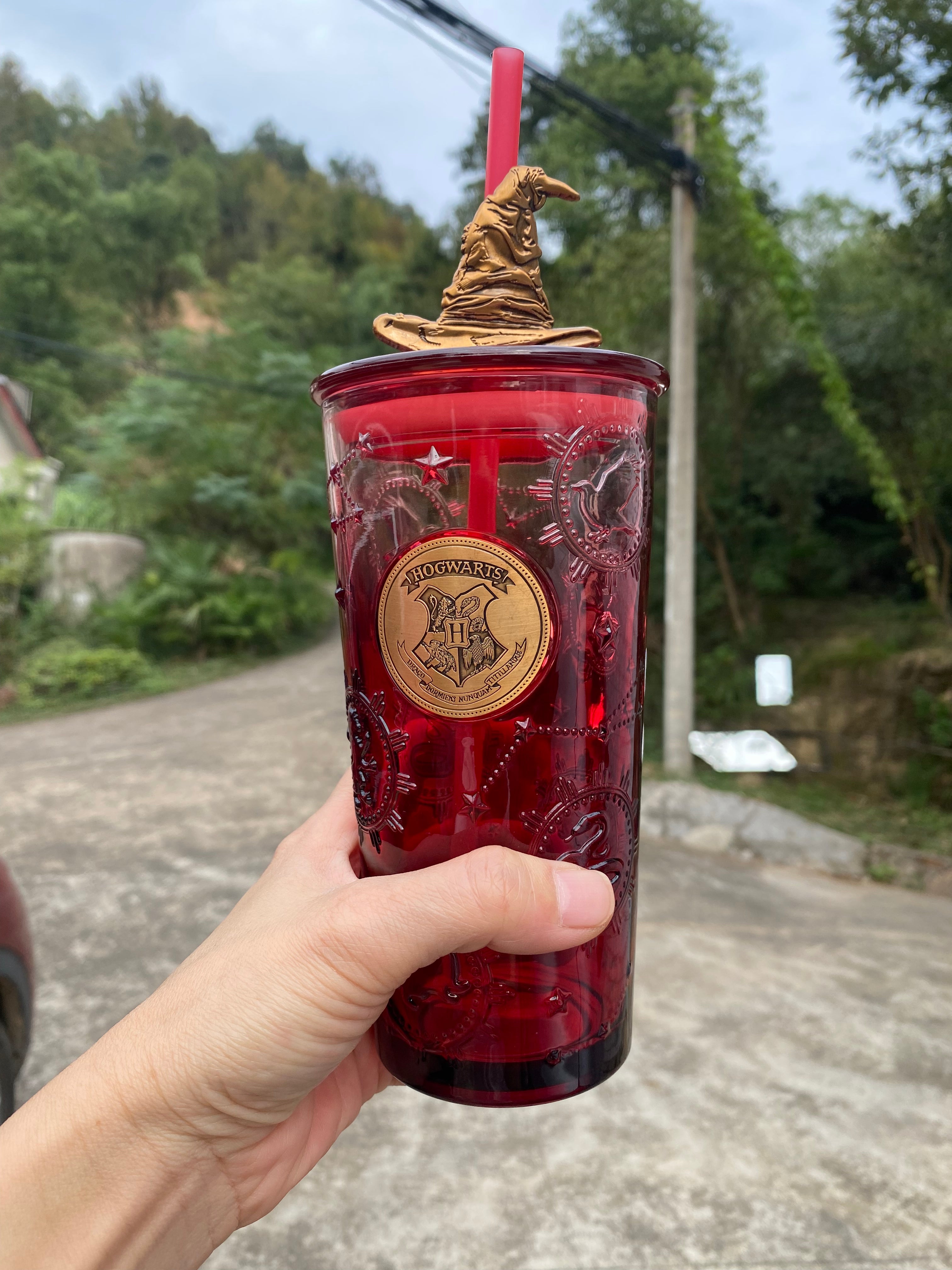 HARRY POTTER Hogwartz Glass Red Cup Tumbler