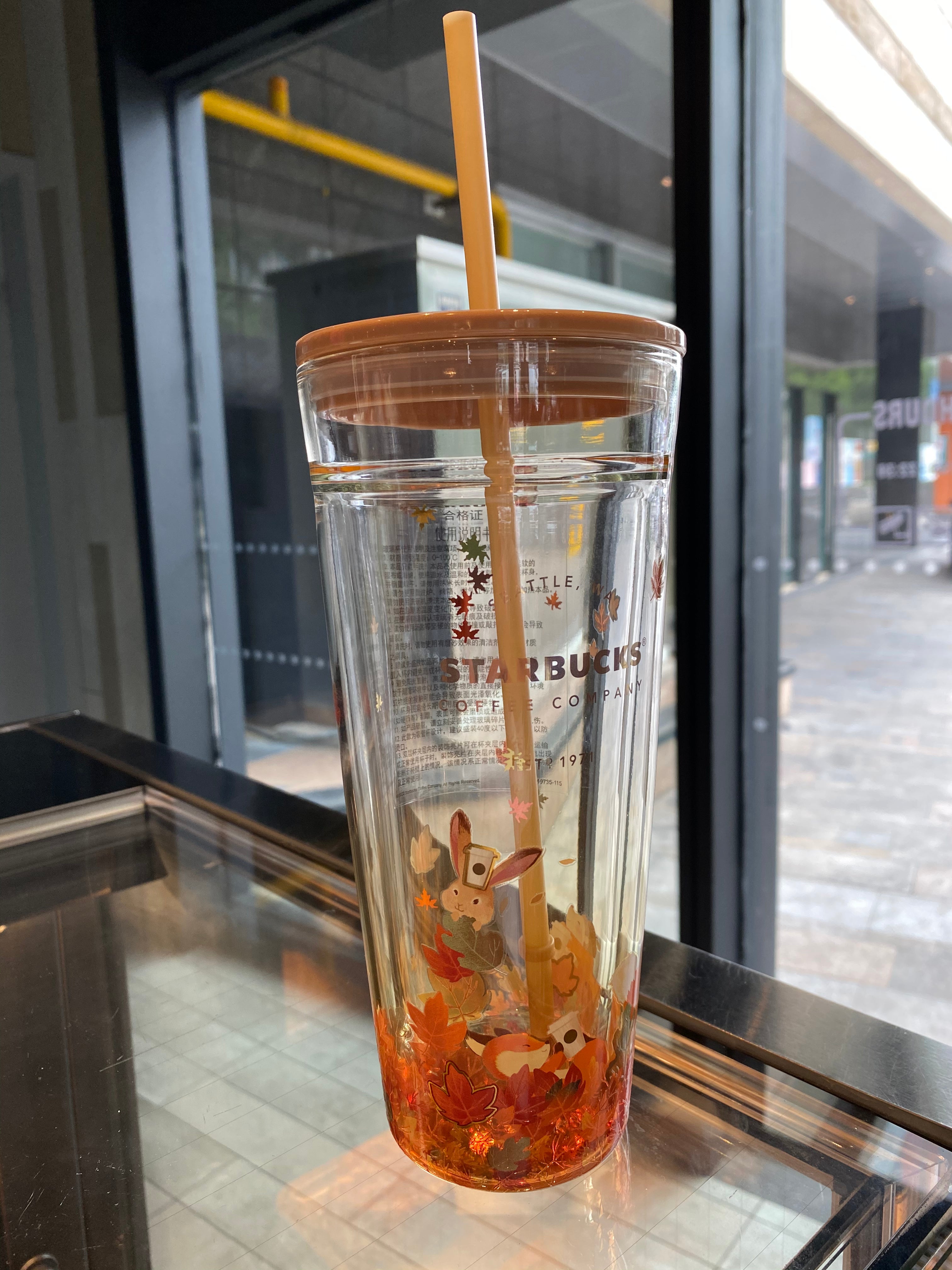 Starbucks Autumn Acorn Cute Fox Cup Double Wall Glass Coffee Mug W/Lid 2023