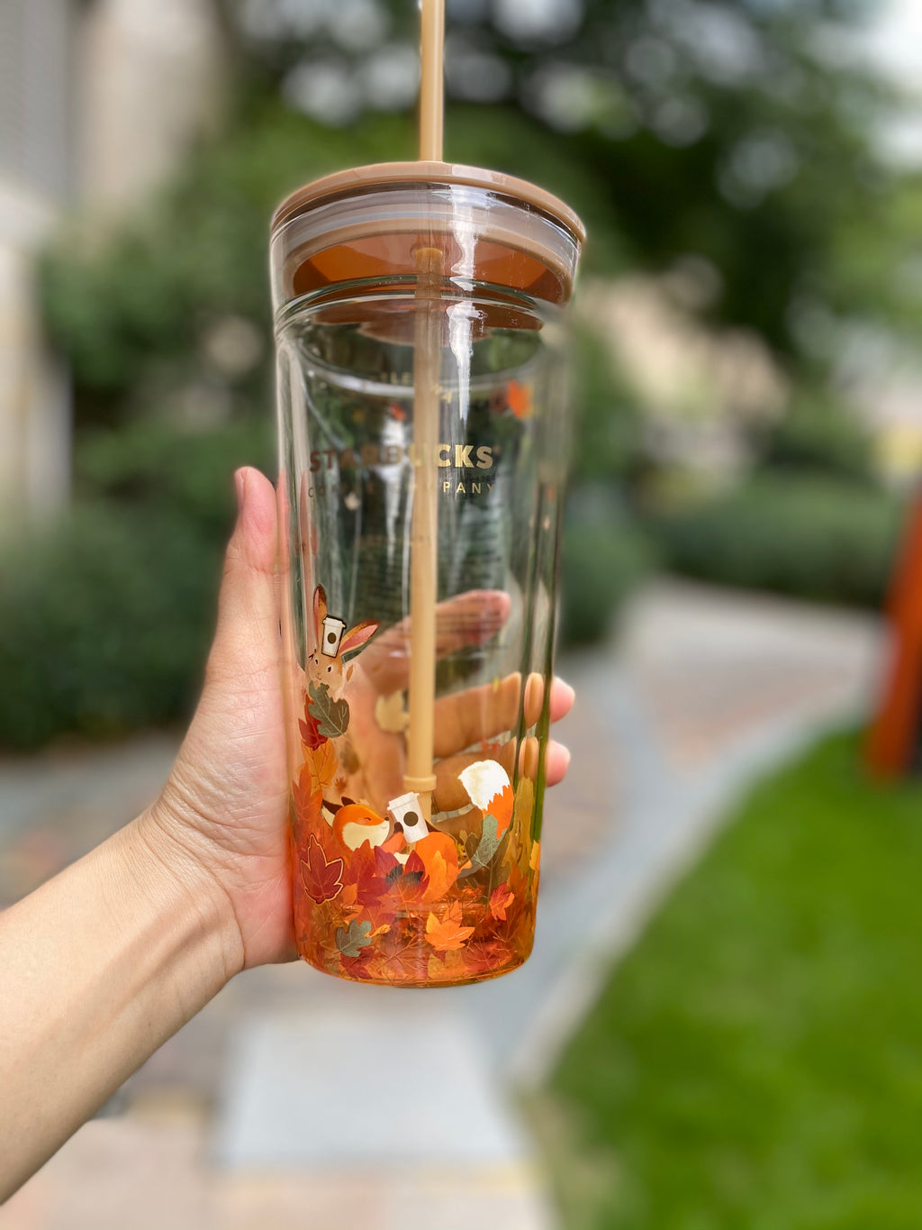 Starbucks Tea Infuser Glass Tumbler Double Wall Starbucks Starbucks Tumbler  Sbux Tea Cup Hot or Cold Cups Tiger Tea Cup 