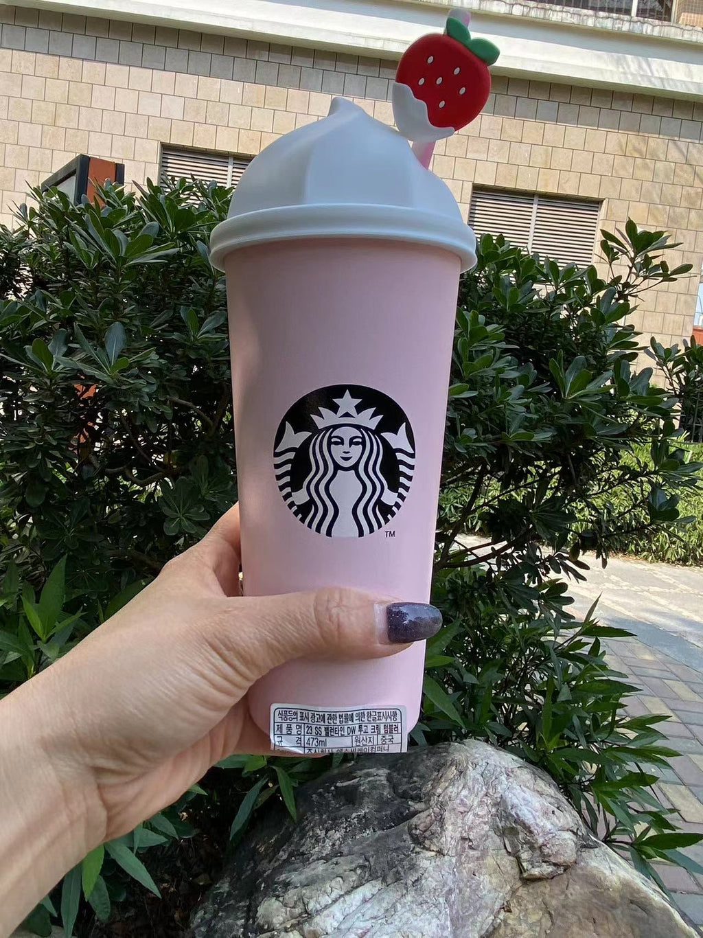 Starbucks Korea Valentine's Day Mugs & Tumblers